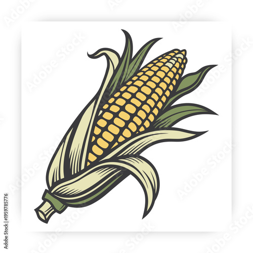 Hand Drawn Corn icon Vector Illustration, Fresh Maize Clipart, Organic Farm Vegetable Design Isolated on White Background.