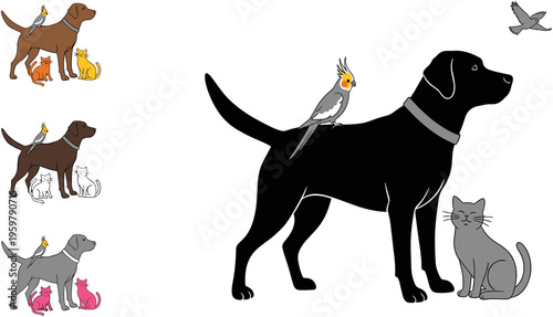 Group of domestic pets including black labrador dog sitting cat and cockatiel bird on back isolated on white background vector illustration