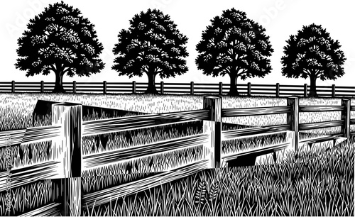 Rustic wooden fence in grassy field with oak trees row under sun vintage woodcut style landscape vector illustration for farm concept