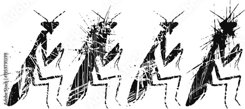 Abstract grunge praying mantis silhouettes in black on white background, vector insect design