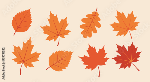 Autumnal Leaves Collection: Maple Oak and Birch in Warm Fall Colors