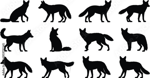 Collection of fox silhouettes in various poses arranged in grid layout, showcasing animal behavior, anatomy, wildlife diversity, design references, and artistic inspiration