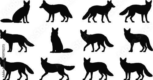 Collection of twelve black fox silhouettes in various poses including sitting, standing, walking, and turning, wildlife animal posture study for design and artistic reference