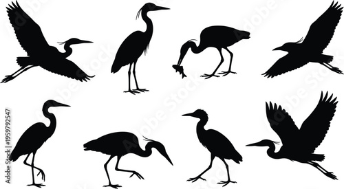 Set of heron bird silhouettes isolated on white background, wading birds collection with flying and standing poses, wildlife vector illustration clipart