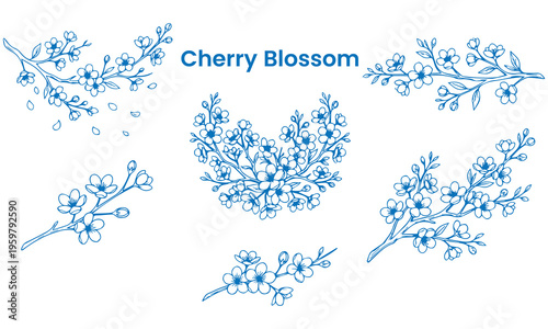 Beautiful blue cherry blossom branches and petals scattered with artistic flair for floral designs and spring celebrations