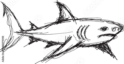 sketch of a fierce great white shark swimming with open mouth and sharp teeth