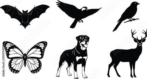 Photography Animal silhouette collection, wildlife vector set, bat eagle bird butterfly dog