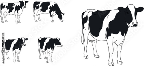 Black and White Cow Illustration Set in Various Poses and Sizes in Simple Line Art Style