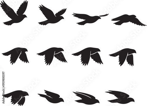Bird Flight Animation Sequence Silhouette Vector