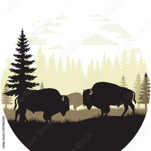Two bison facing each other strongly.