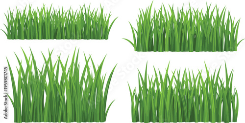 Set of green grass patches and lawn tufts with fresh blades isolated on white background for nature landscaping garden design and outdoor environment illustration