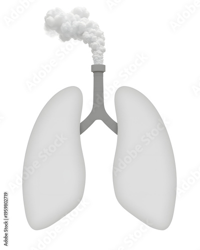 Industrial smokestack emitting smoke shaped like lungs, environmental symbolism