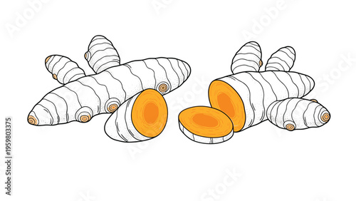 Illustration of organic turmeric roots both whole and sliced with bright orange insides showing healthy natural ingredients.