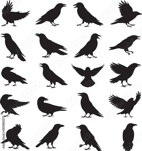 Collection of various crow silhouettes on white background