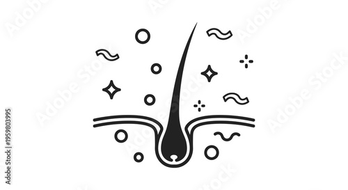Hair follicle diagram with decorative elements a stark silhouette