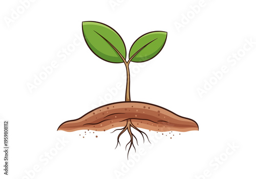 Cartoon seedling with green leaves emerging from brown soil and roots below