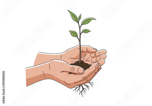Two hands cradling a small plant seedling with exposed roots and soil