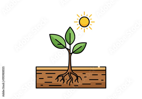 Simple illustration of a seedling with roots in brown soil under a yellow sun