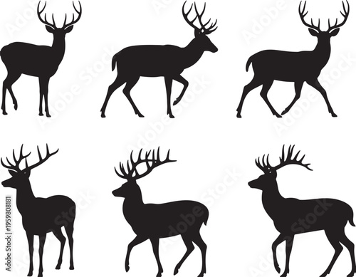 Set of deer silhouettes in various poses on white background