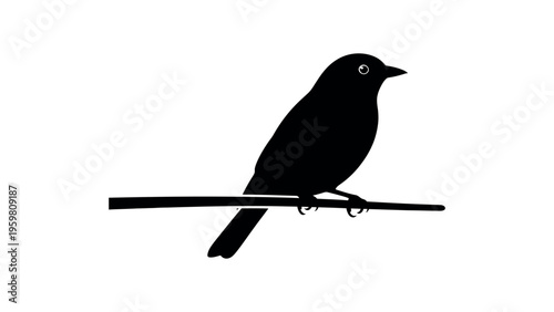 Black bird silhouette perched on thin branch