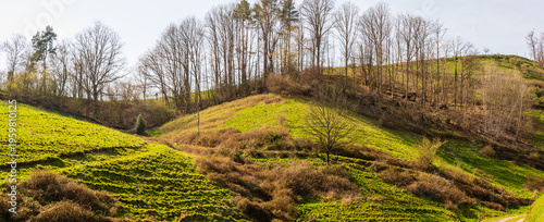Pentes escarpées et pâturages de montagne dominant la vallée de Sainte-Marie-aux-Mines, CEA, Grand Est, France