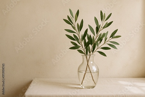Olive Branches in Glass Vase with Natural Light
