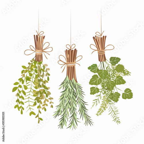 Getrocknete Kräuter Bündel Räucherwerk Vektor Grafik