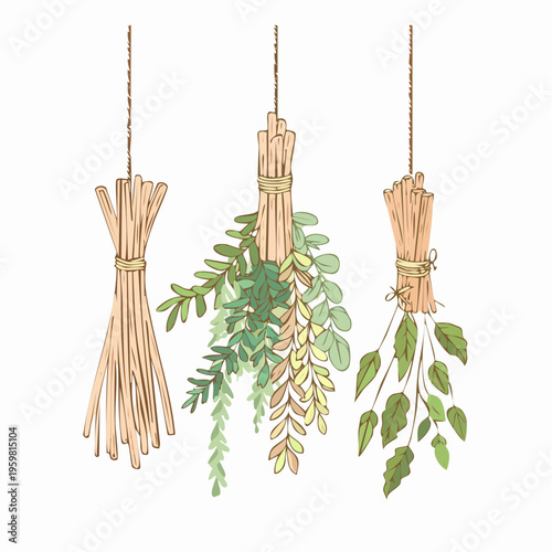 Getrocknete Kräuter Bündel Räucherwerk Vektor Grafik