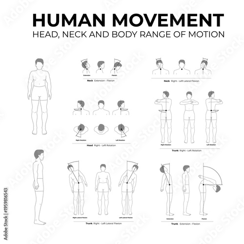 human movement head neck and body range of motion flat line illustration set