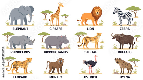 African Safari Animals Collection: Elephant, Lion, Giraffe, Zebra, Rhino, Hippo, Cheetah, Buffalo, Leopard, Monkey, Ostrich, Hyena