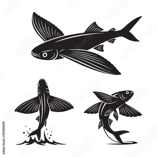 Flying Fish Three Pose Glide Launch Silhouette Vector Bundle