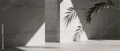 Minimalist Interior with Shadows and Palm Leaf in Sunlight