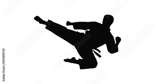 A dynamic martial artist performing a kick in stark silhouette