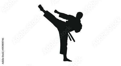 Karate practitioner executing a dynamic kick in striking silhouette