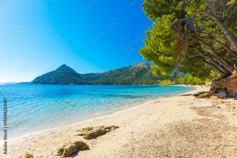 Obraz premium Playa de Formentor, Mallorca, Balearic Islands, Spain