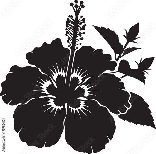 hibiscus flower silhouette tropical design white background 