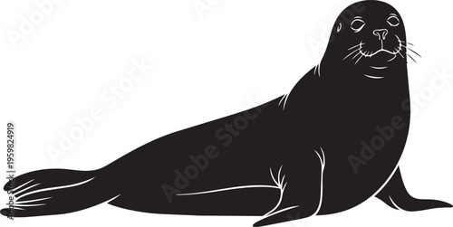 Seal Animal Silhouette Marine Mammal Sea Lion Ocean Wildlife Minimal Black Illustration Aquatic Nature Vector Design Isolated Icon.