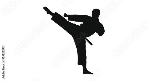 A martial artist performs a dynamic kick in black silhouette