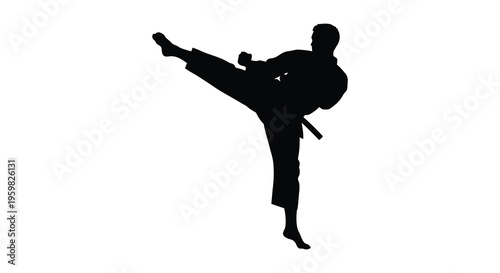 Martial artist performing a high kick in a dynamic pose silhouette