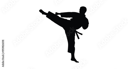 Karate practitioner executing a dynamic kick in a striking silhouette