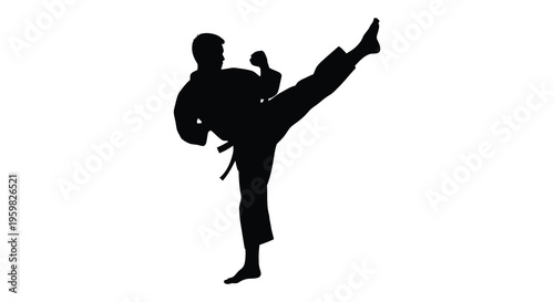 A martial artist performs a high kick in dynamic pose silhouette