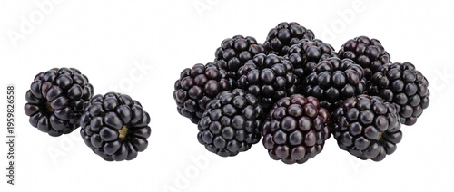 Collection of Ripe Bramble Fruits