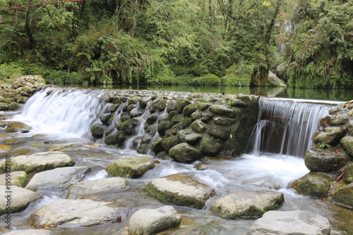 Foto small waterfall in the forest