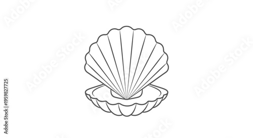 Open Seashell with Pearl, Simple Line Art Illustration, Nautical, Ocean Life