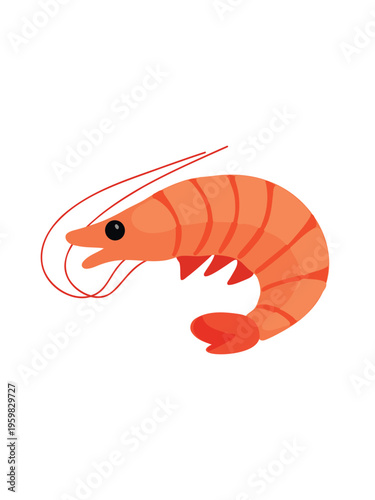 fresh shrimp isolated on clean white background