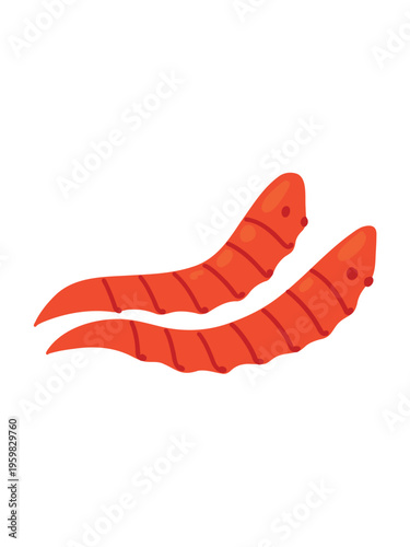 two red worms isolated on clean white background