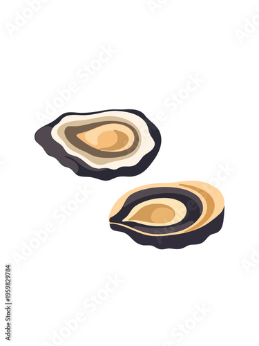 fresh seafood oyster illustration isolated on plain white backdrop