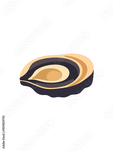 raw shucked oyster arranged on minimal white surface