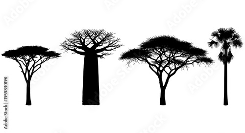 A serene landscape of trees under a dark and dramatic sky on transparent background