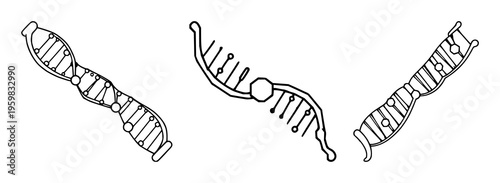 Geometric vector icon of a DNA strand with hexagonal markers, genetic mapping theme, white background. set with simple line art design featuring outline, illustration, graphic elements with clean d...